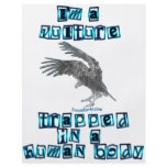 I'm a Vulture flyers