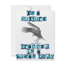 I'm a Vulture