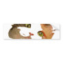 I'm All Ears: Calico Cat Portrait Bumper Stickers