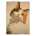 I'm All Ears: Calico Cat Portrait cards
