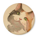 I'm All Ears: Calico Cat Portrait magnets