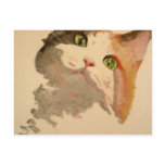 I'm All Ears: Calico Cat Portrait Postcard