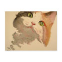 I'm All Ears: Calico Cat Portrait postcards
