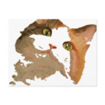 I'm All Ears: Calico Cat Portrait postcards