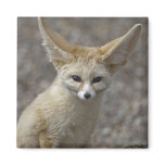 I'm All Ears Magnet