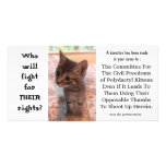 I'm FOR kittens on heroin photo cards