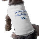 I'm Going To Be A Big Brother Dog Clothing