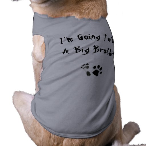 Im going to be a big brother - doggie tee