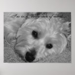 I'm in a Westie state of mind... 2 Posters