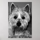I'm in a Westie state of mind..... Print