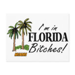 Im In Florida Bitches postcards