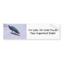 I'm Late! For A Very Important Date Bumper Sticker bumper stickers