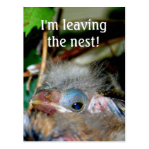 I'm Leaving the nest postcard