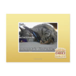 I'm listening postcards
