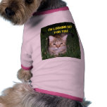I'm looking out for you! pet clothing