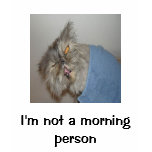 I'm not a morning person t-shirts
