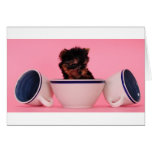 I'm not a Tea Cup Poodle! Greeting Card