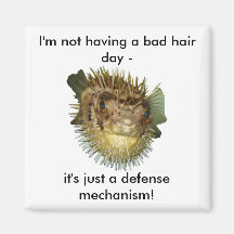 I'm not having a bad hair day - fridge magnets