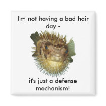 I'm not having a bad hair day -