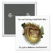 I'm not having a bad hair day - pins