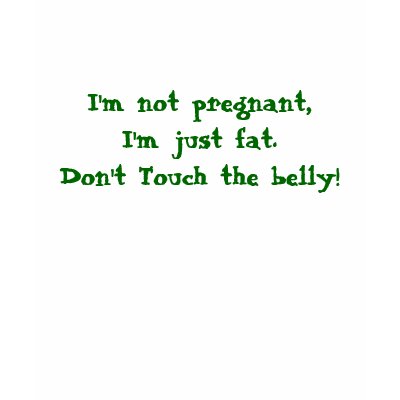 I'm not pregnant, I'm just fat. Don't Touch the... Shirts by Shandiz