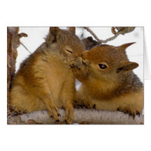 I'M NUTS ABOUT YOU! GREETING CARD