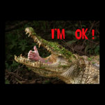 I'm ok ! posters