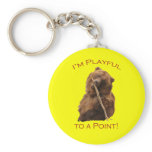 I'm Playful to a Point! Keychain