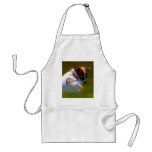 I'm really cute aprons