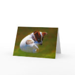 I'm really cute cards