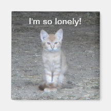 I'm so lonely! fridge magnets