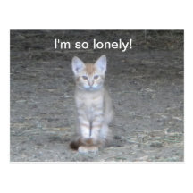 I'm so lonely! postcards
