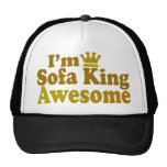 I'm Sofa King Awesome Hat