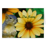 I'm Sorry/Any Occasion_ Card