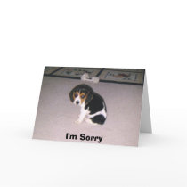 I'm Sorry Greeting Card