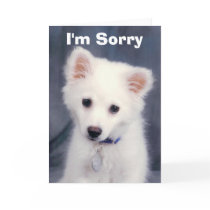 I'm Sorry Greeting Card
