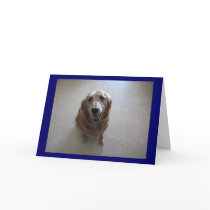 I'm Sorry! Greeting Card
