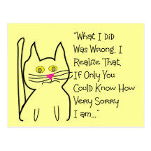 "I'm Sorry" Greeting Cards--Cat Design Post Card
