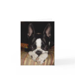 I'm sorry note card