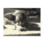 I'm sorry! postcards