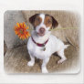 I'm sorry puppy mouse mats