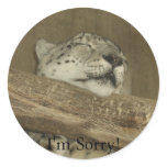 I'm Sorry! stickers