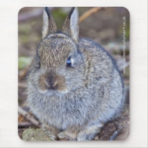 I'm Such a Cutie! Mousemat Mousepads