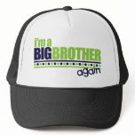 I'm the Big Brother Again Blue/Green T-shirt Mesh Hat