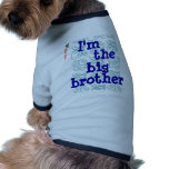I'm the big brother
