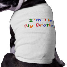 I'm the Big Brother Pet T-shirt