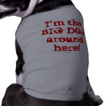 I'm the BIG DOG around here! pet clothing