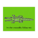 i'm the crocodile, follow me. postcards