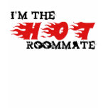 I'm The HOT Roommate t-shirts