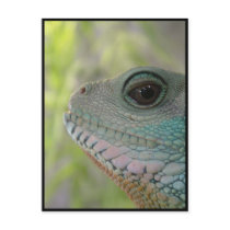 I'm watching you - Postcard